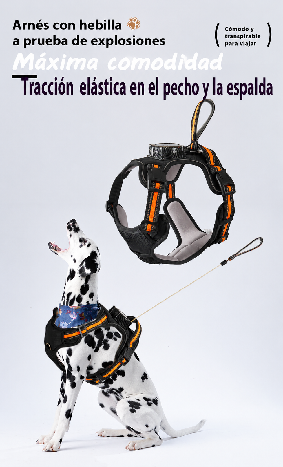 Collar de Capa de Aire