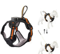 Collar de Capa de Aire